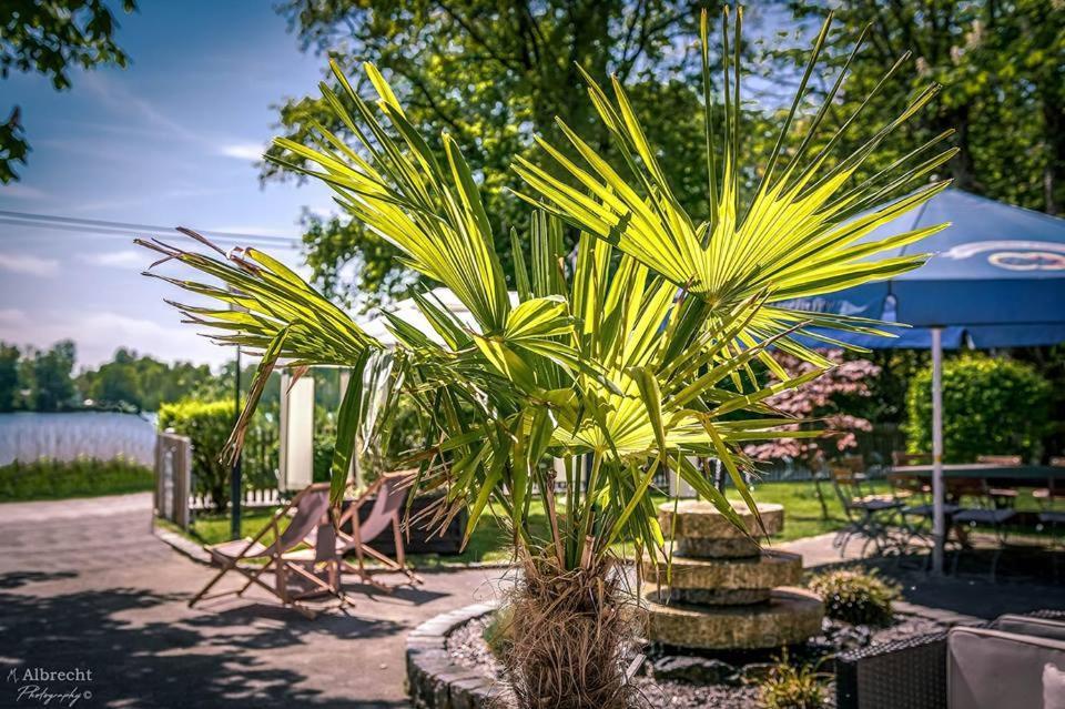 Sopherl Am See - Fruehstueck Auf Der Seeterrasse, Sehr Ruhig Und Wunderschoen Am See, 3 Minuten Nach Oberpfaffenhofen, Viele Radtouren, Restaurants & Cafes In Der Umgebung Weßling Extérieur photo